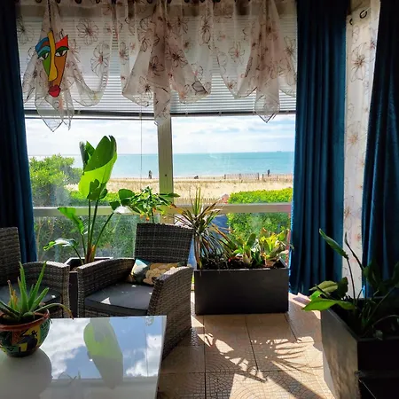Gracieux * Châtelaillon-Plage